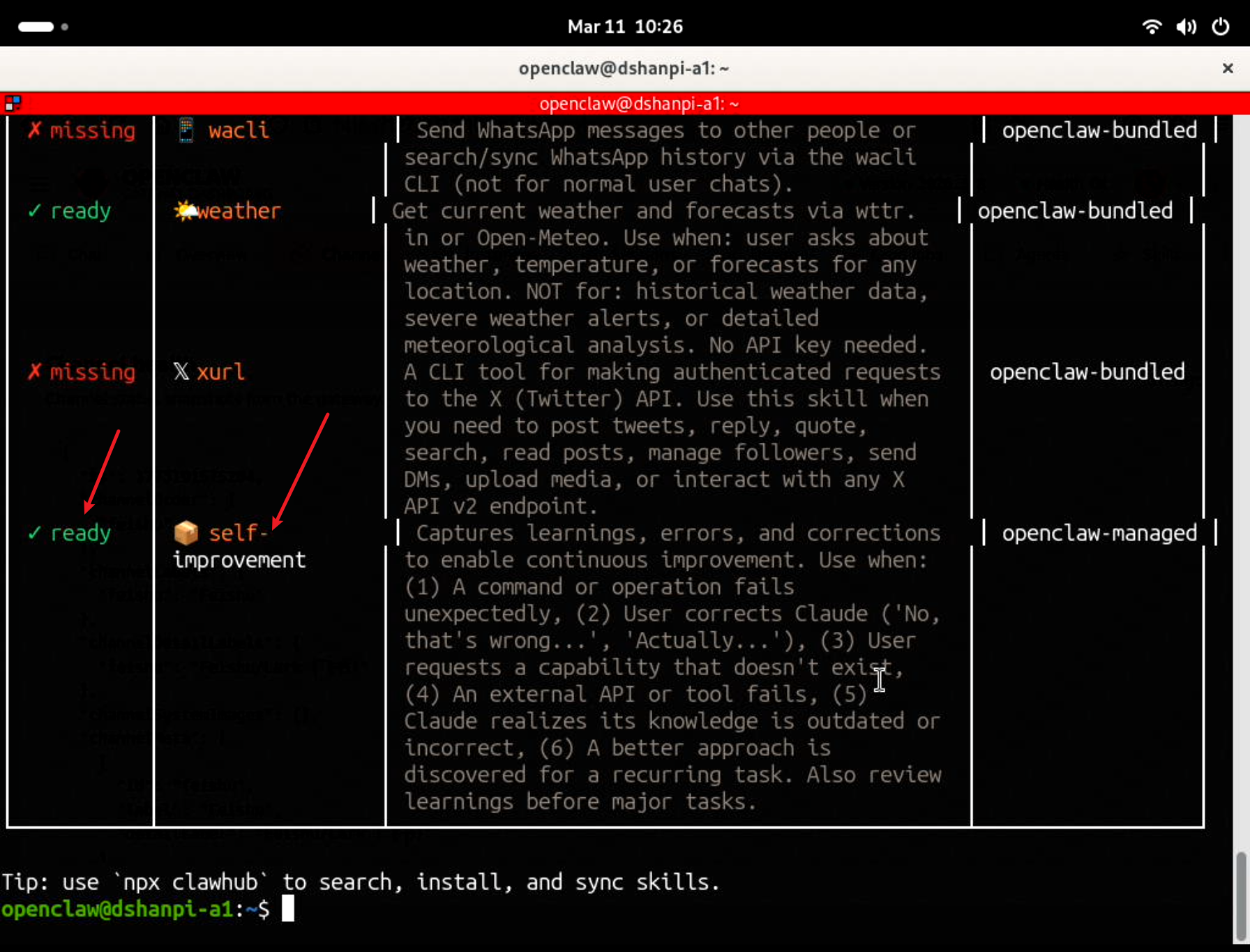 image-20260311102612115